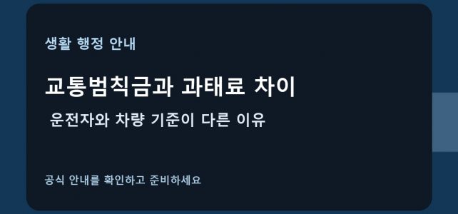 교통범칙금과 과태료 차이, 운전자와 차량 기준이 다른 이유