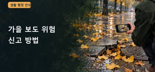 낙엽에 가려진 보도 파손과 맨홀 위험, 신고할 때 남길 정보